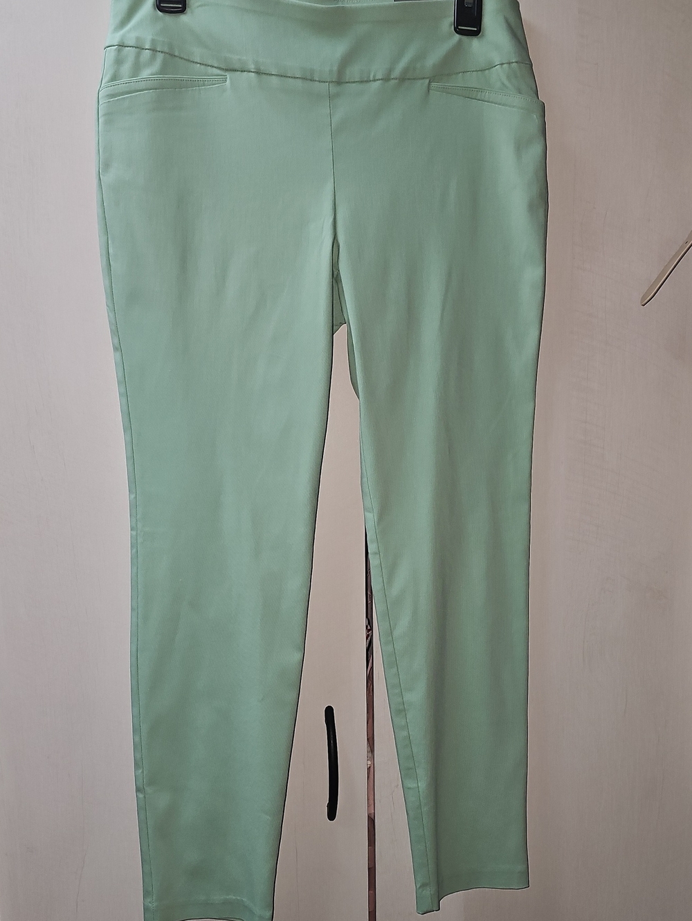 Van Heusen Cropped Slim Pants in Mint